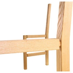 Festool DOMINO-stenen Beuken D 10X50mm 15 Festool DOMINO-stenen Beuken D 10X50mm -Efficiënte Gereedschapsopslag 10809 05