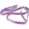Hijsband Violet 1 Ton 3m