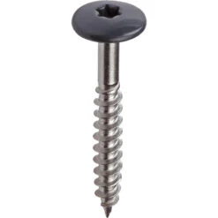 Kleurkop Schroeven RVS 4,8x38mm RAL 7016 Antracietgrijs