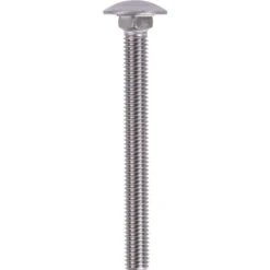 Slotbouten RVS M8x60mm