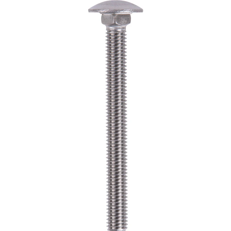 Slotbouten RVS M10x110mm 3 Slotbouten RVS M10x110mm